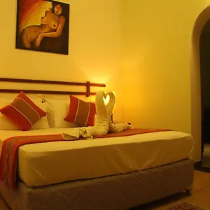 Bed & Breakfast Hotel Romano